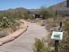 arizona705_cactustrail01.jpg