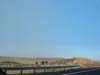 arizona705_scenic07.jpg