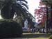 jpeacepark8.jpg